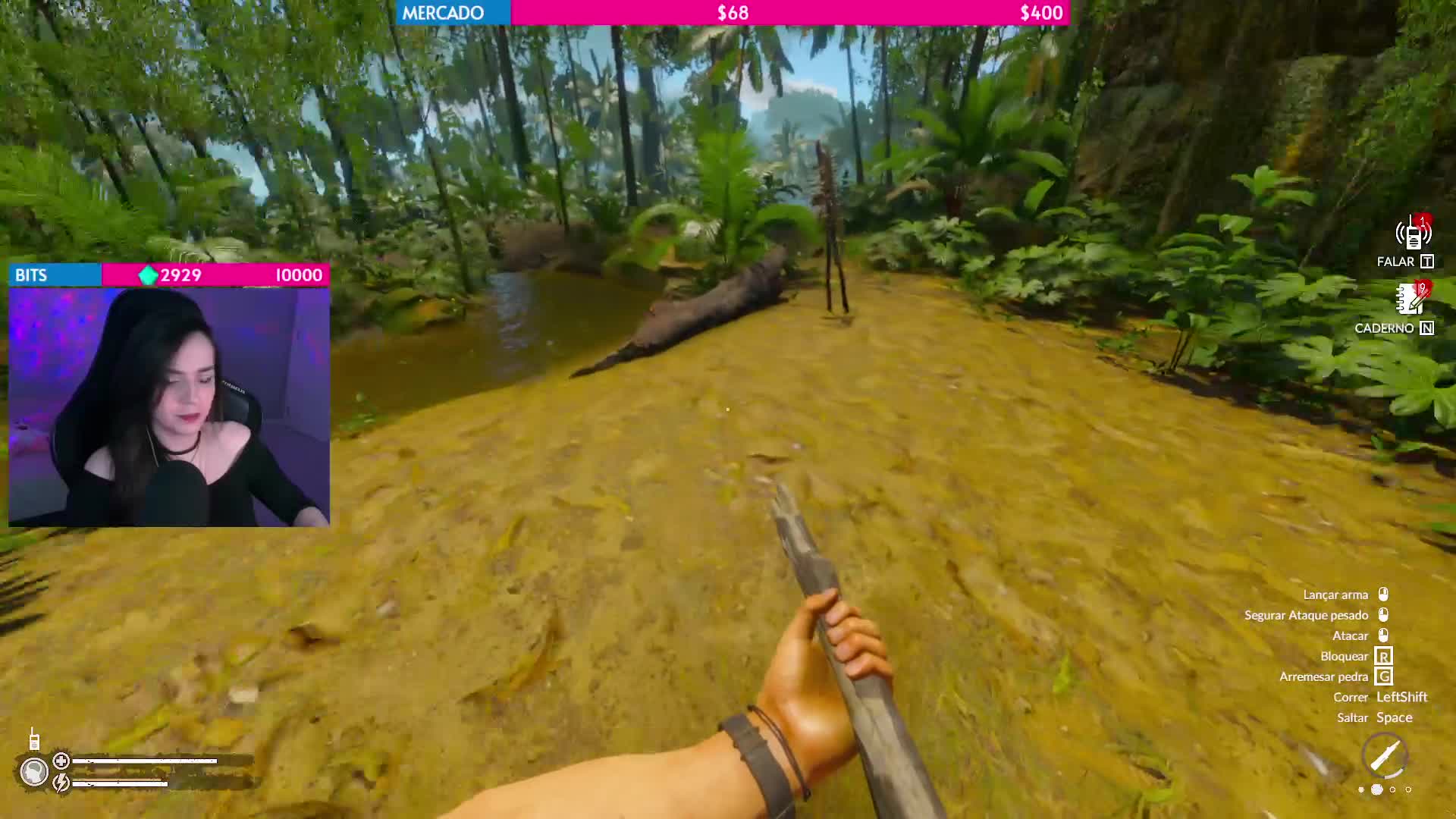 O gatinho só quer brincar..