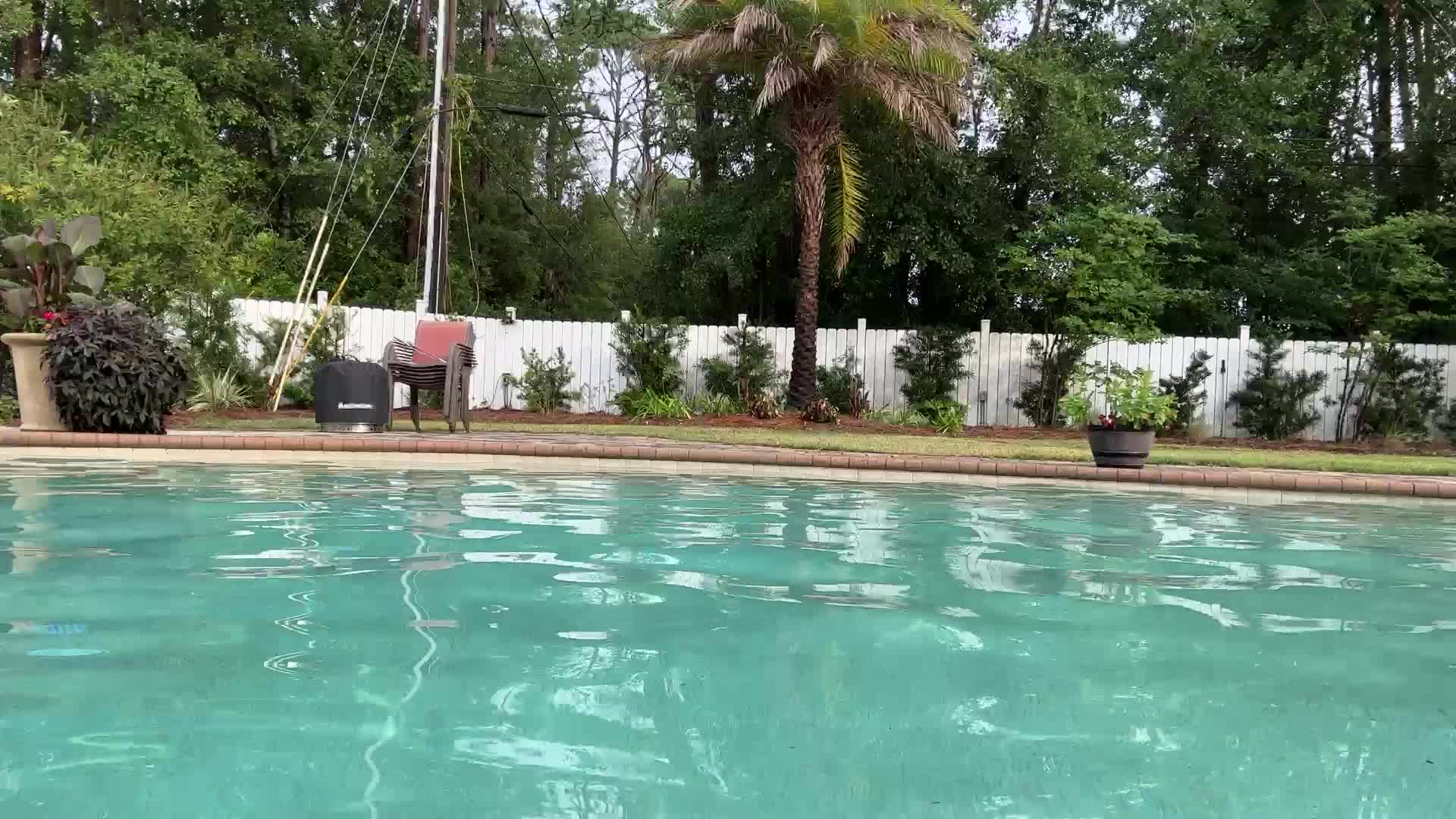 Thanks for the 75 followers!