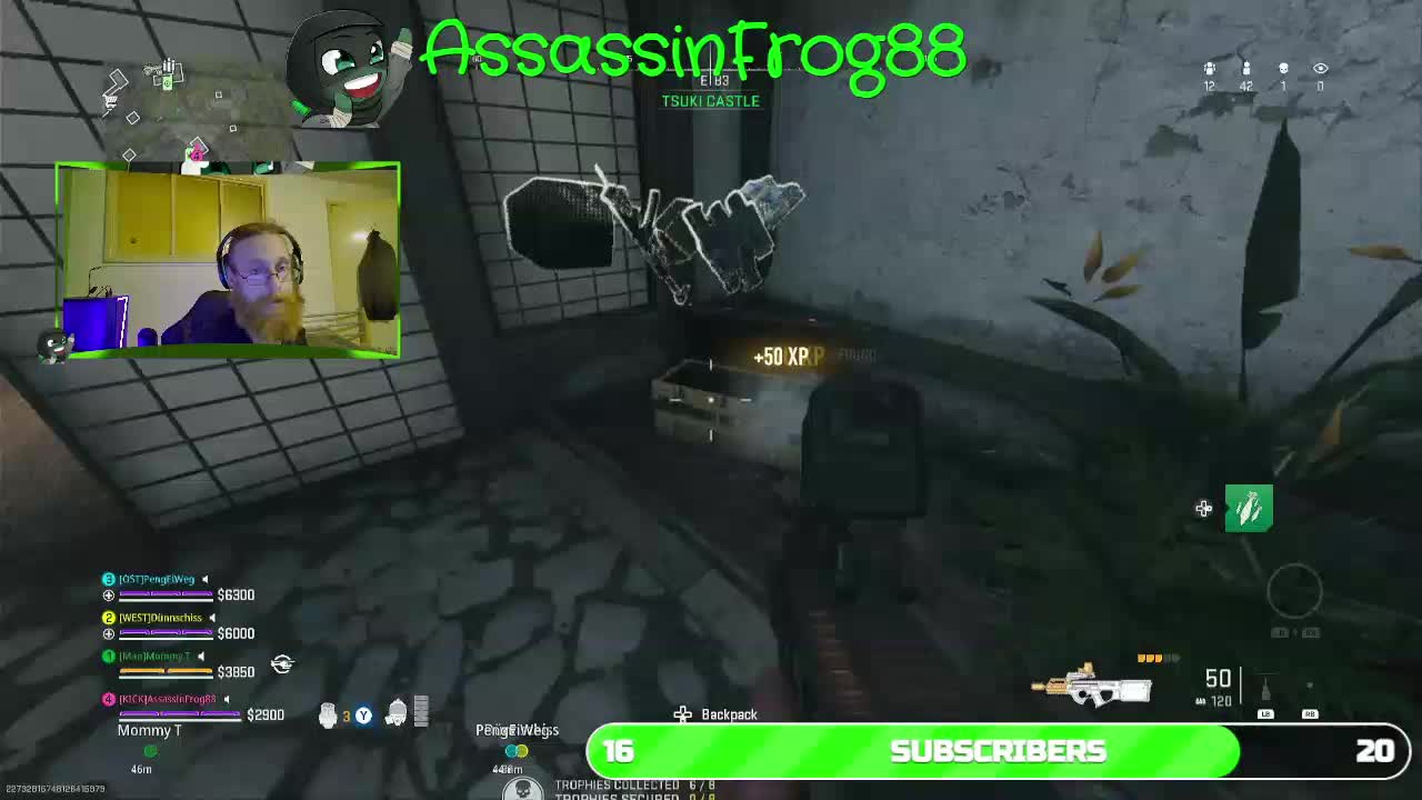 assassinfrog88
